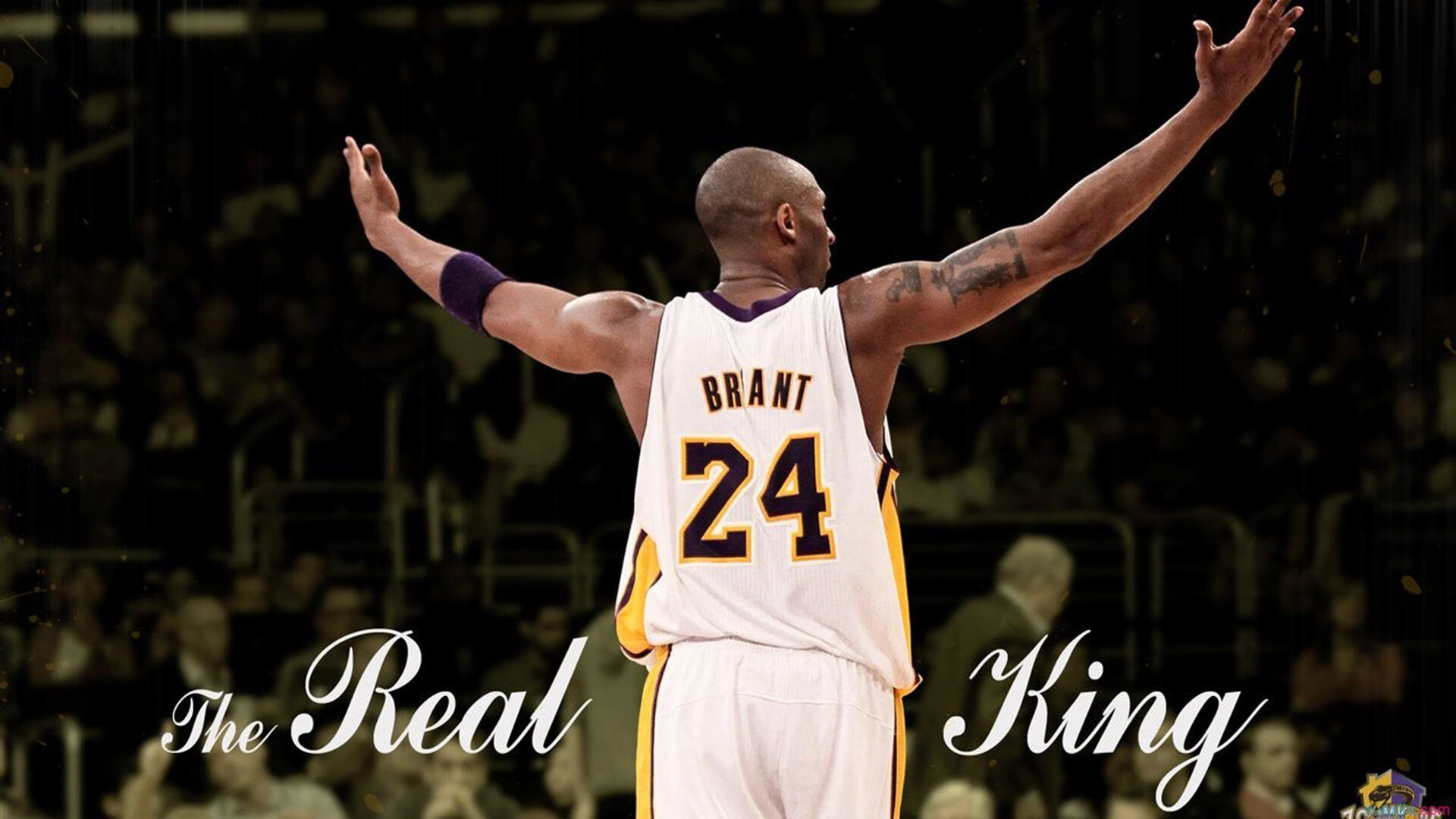 开云平台-末节逆袭与东决接管，威尔士足球的坚韧与孔德篮球的辉煌，体育精神的交响曲